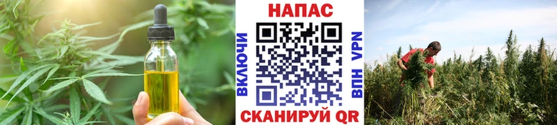 Cannafood марихуана  Купить где  Подпорожье 
