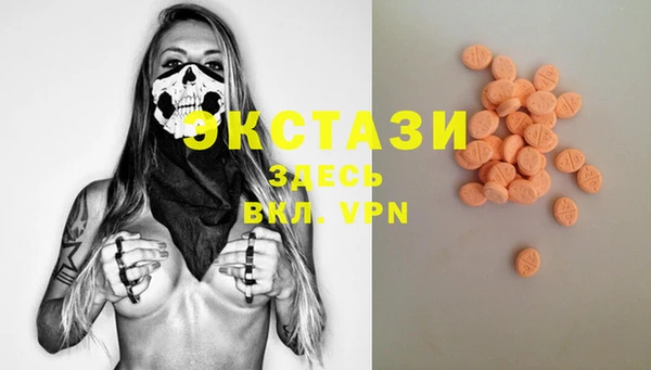 стаф Гусев