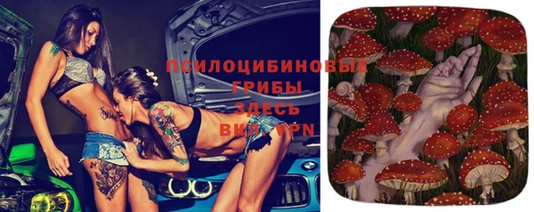 стаф Гусев