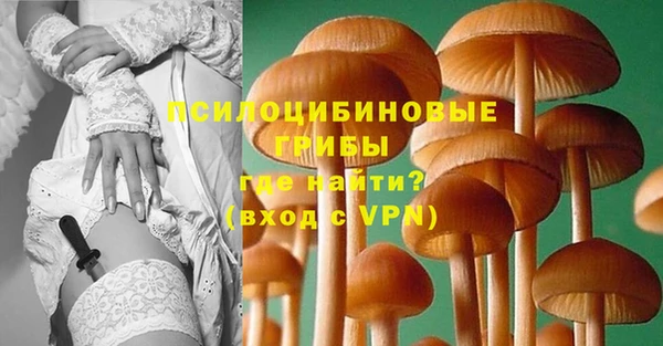 стаф Гусев