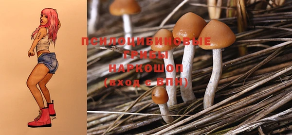 таблы Гусиноозёрск